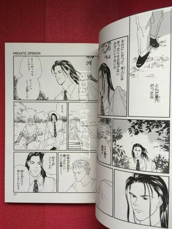 Akimi Yoshida Manga Book Private Opinion Banana Fish Another Akimi Yoshida Manga Book Private Opinion Banana Fish Another