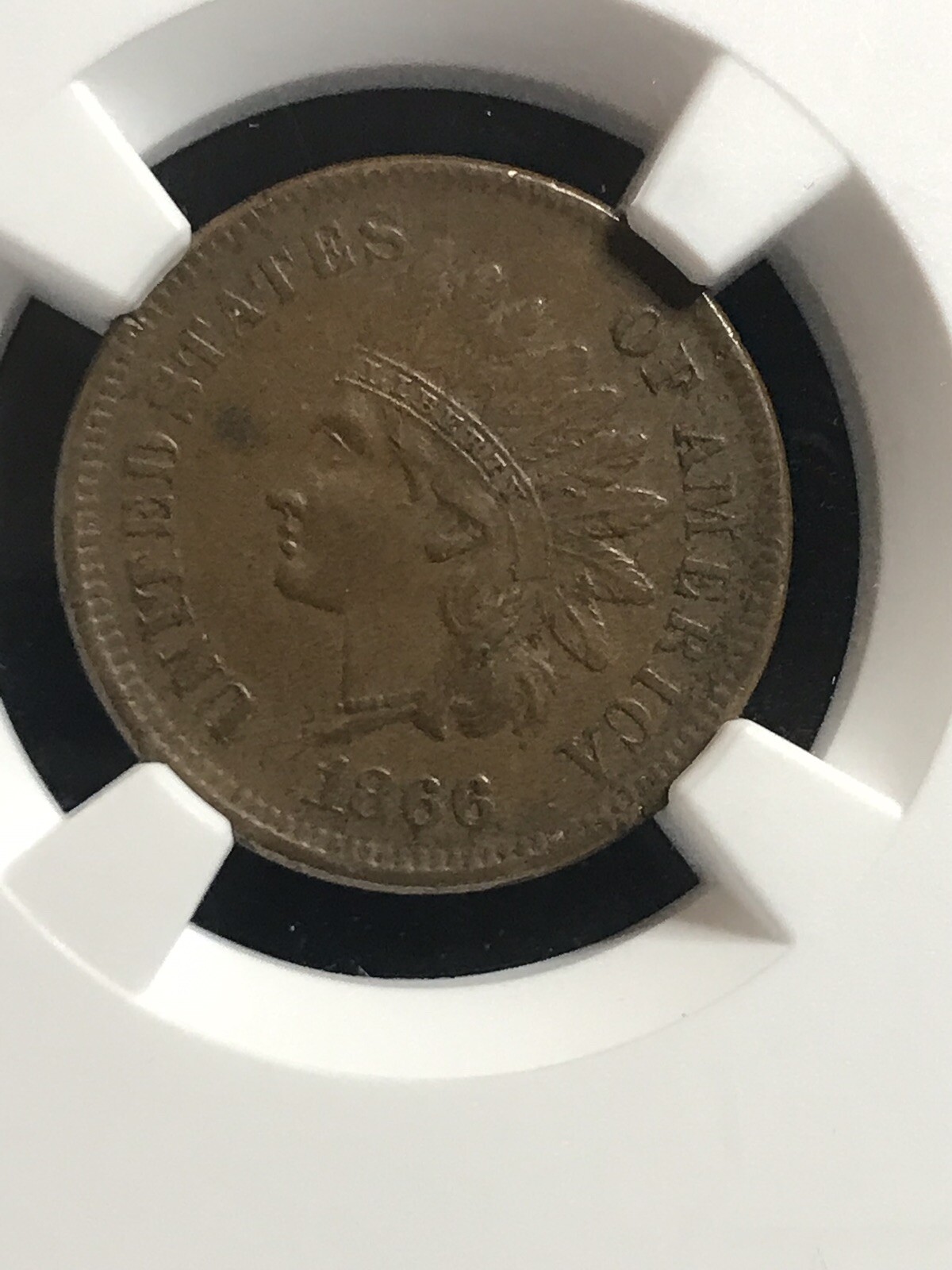 Picture 2 of 4