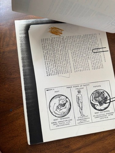 UHSC Spiritual Lot: Occult Lessons, Mind Diagrams, Rodeo Letter, Wild! J06 - Picture 5 of 24