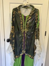 Disney Winifred Hocus Pocus Halloween Costume Sanderson Sister Adult L-XL