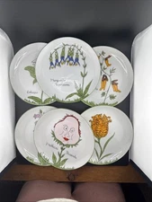 Franci Flora Collection Decorative Plates Set of 6