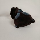 Foto 5 di 11
