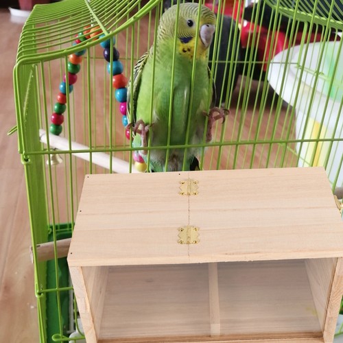 Casetta per allevamento pappagalli casetta per uccellini uccellini budgie gabbia nido in legno - Foto 7 di 12