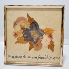 Pressed Flowers in Picture Frame Happiness Blossoms as Friendships Grow