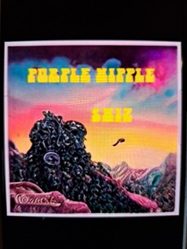 Purple Nipple SHIZ Cd New - 第 1/1 張圖片