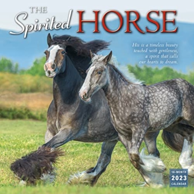 SPIRITED HORSE THE by SELLERS PUBLISHING PAPERBACK 9781531916428