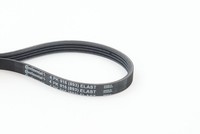 Continental Ctam 4PK916 Elast Keilrippenriemen FüR Dacia Lada Renault