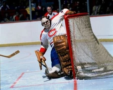 Ken Dryden Montreal Canadiens 8x10 Photo