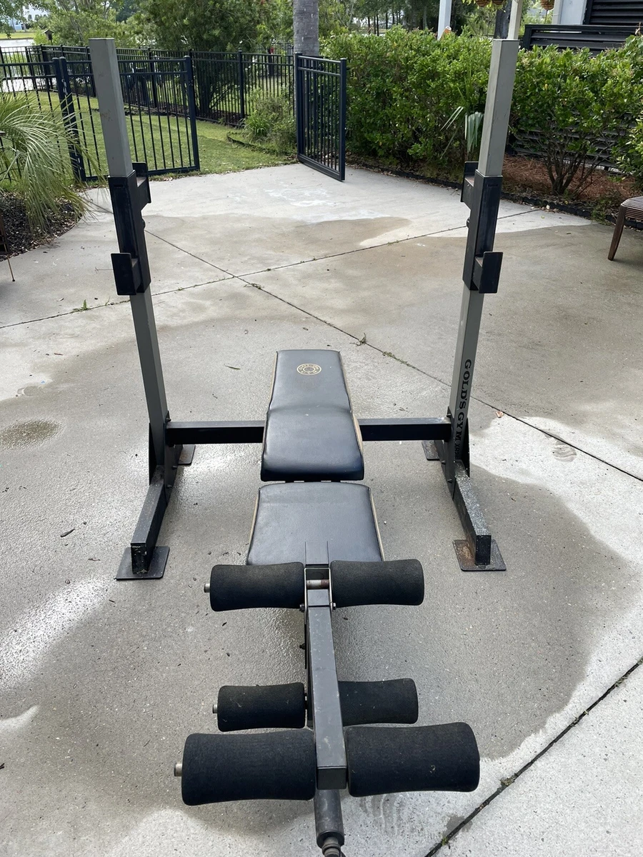 Gold s Gym Weight Bench incline decline leg extension adjustable height