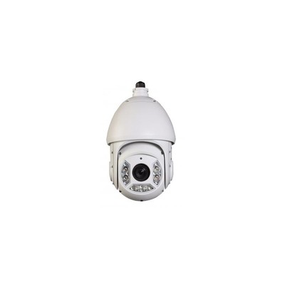 30X Network PTZ Dome Camera 2 MP Full HD IR 1/3'' 2MP PS Exmor CMOS
