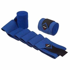 The Gospel of Household Plants - Paperback, by Lemieux Brenna - Very Good