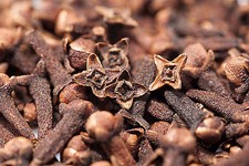 Clove Bud Essential Oil 100 pure Soap making supplies. Aromatherapy.