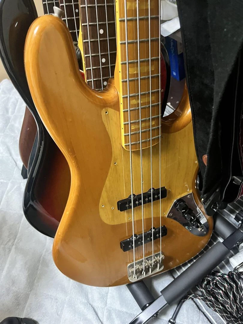 Seymour Duncan Traditional つくれる DJ-110