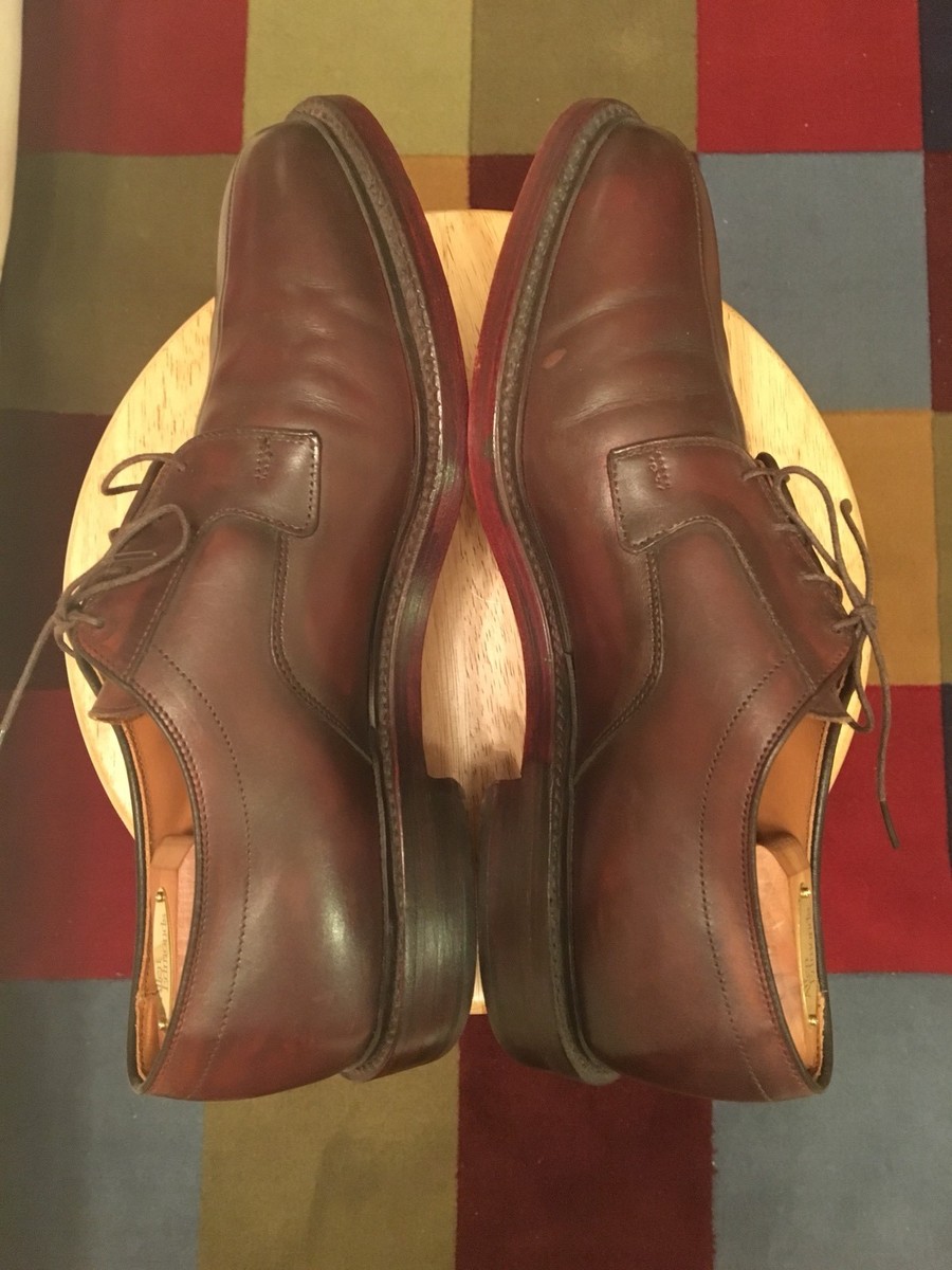 Allen Edmonds DICKSON Brown Men display picture 1
