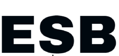 #ad ESB Tanning Bed Shocks Gas Springs One Pair $89.00