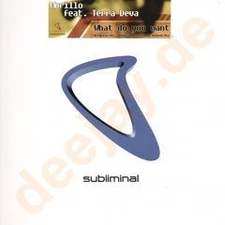 Erick Morillo Ft Terra Deva - What Do You Want (Remixes) - French 12" Vinyl -...