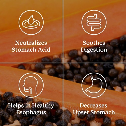 El soporte del sistema digestivo a base de hierbas neutraliza el ácido estomacal (60 tabletas) - Imagen 5 de 6