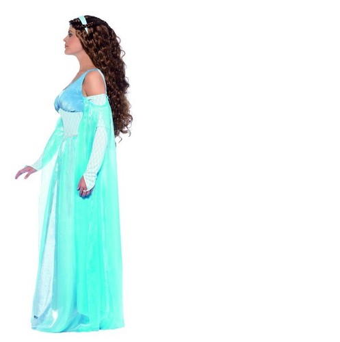 Medieval Maiden Fancy Dress Small 8 10 Deluxe Adult History Princess Outfit Head - Picture 23 of 24