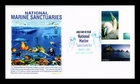 DR JIM STAMPS US COVER MARINE SANCTUARIES IMPERFORATE FDC PANDA CACHET