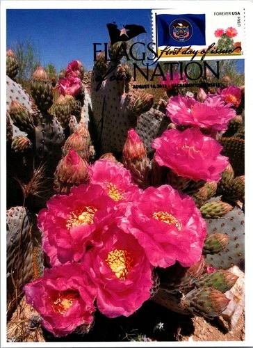 Dr Jim Stamps Maximum Card Utah State Flag Forever Fdc