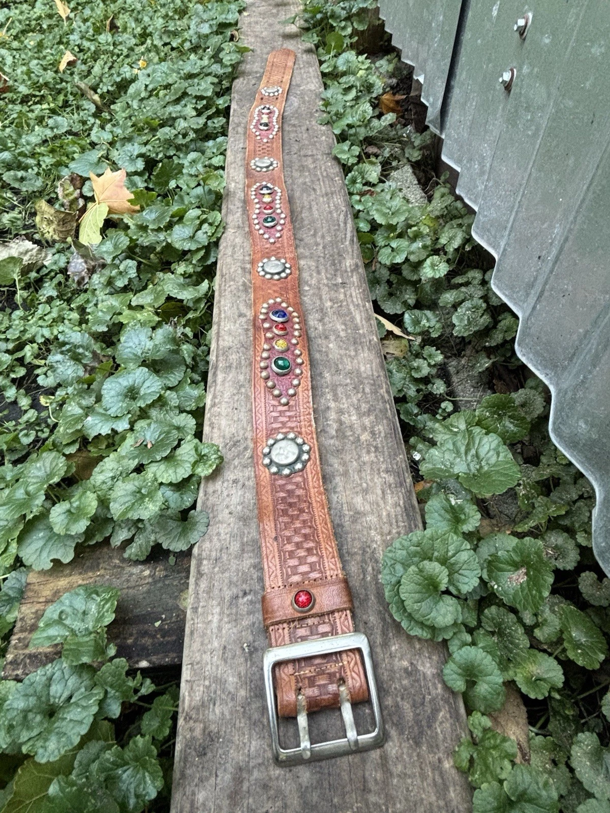 Picture 19 of 24