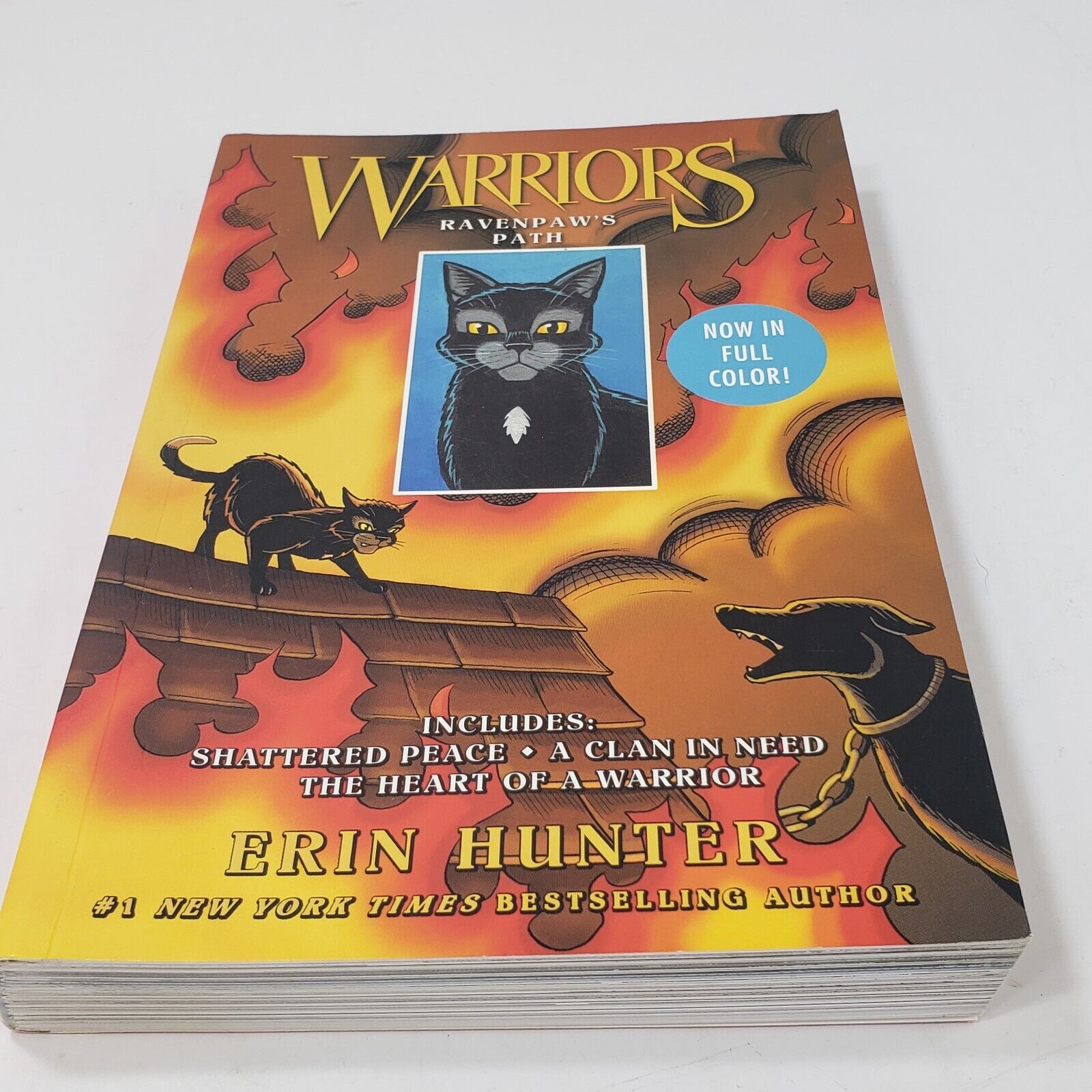 Shattered Peace (Warriors Manga: Ravenpaw's Path Series #1) by Erin Hunter,  James L. Barry, Paperback