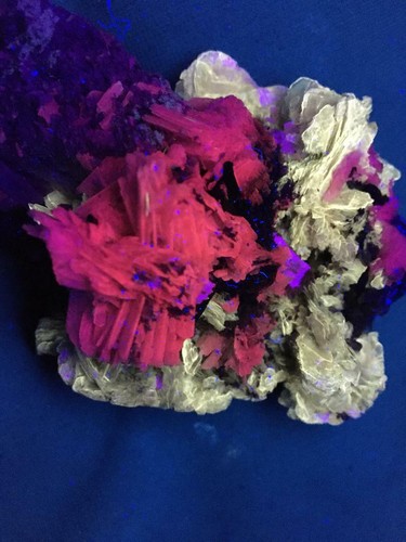 KB: FANTASTIC! GREAT SW FL. POLYLITHIONITE/LEUCOPHANITE/ALBITE, QUEBEC, CANADA - Picture 5 of 12