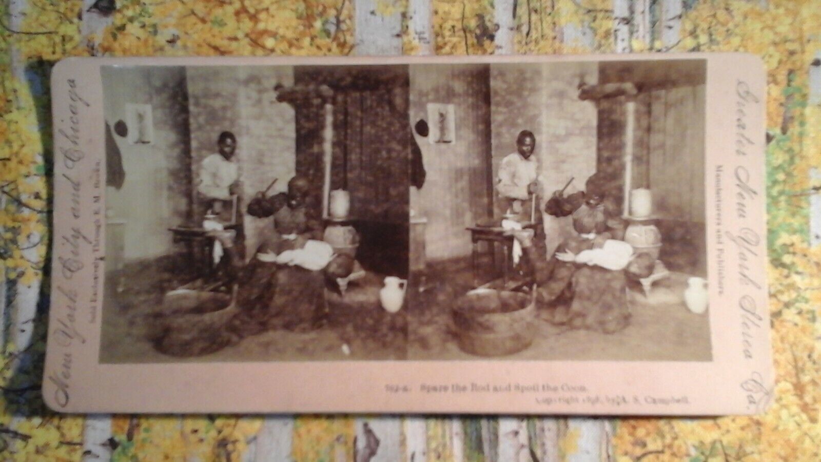 Picture 5 of 6