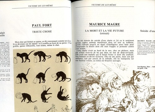 Bibliothèque illustrée du CHAT Juliette Raabe 2 Volumes - Picture 8 of 12