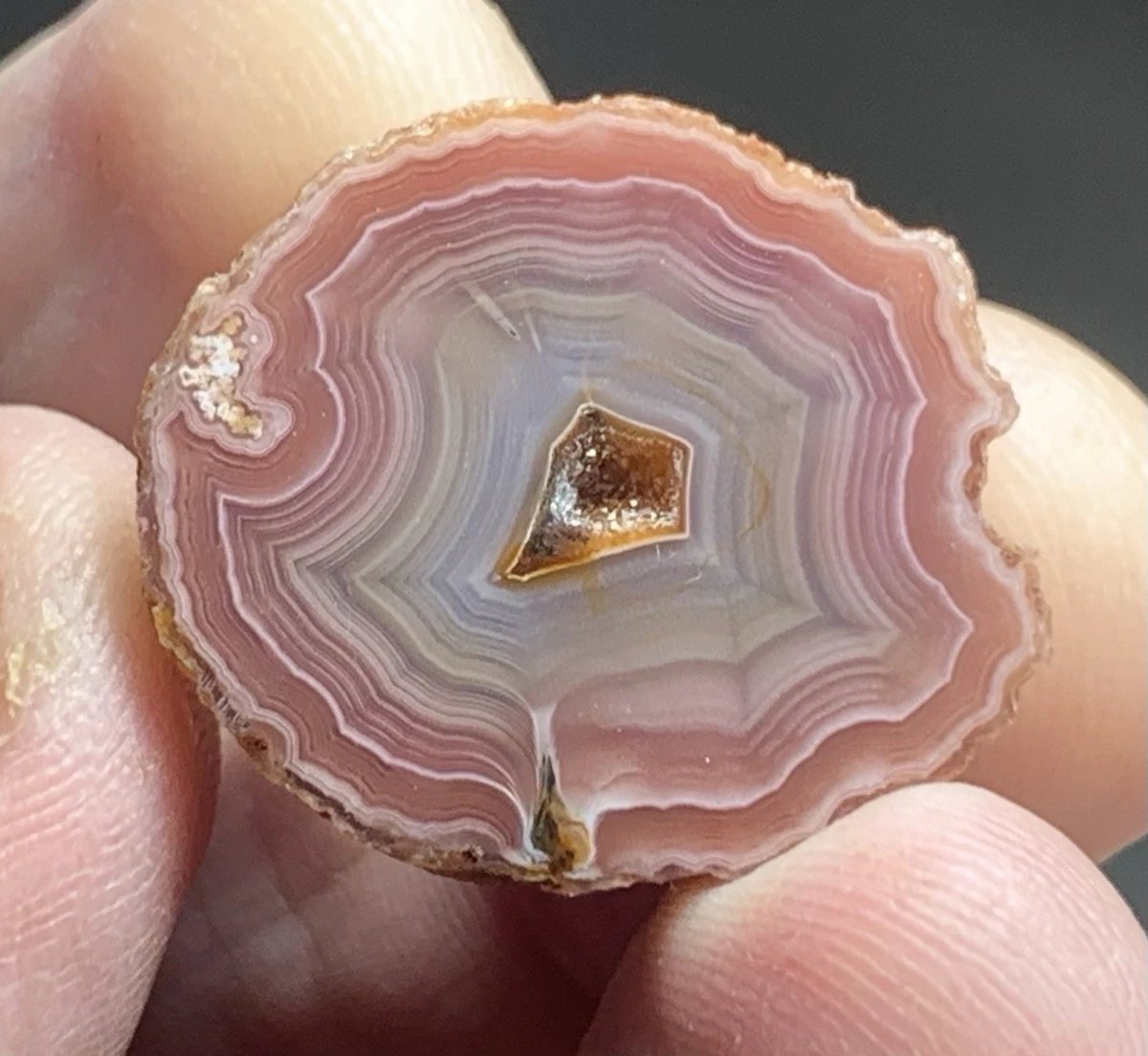 Laguna Agate for sale | eBay