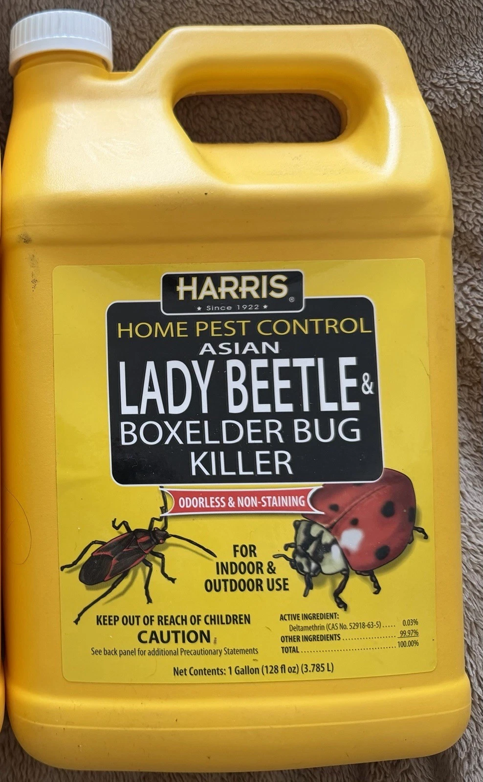 Harris HBXA-128 Beetle and Box Elder Bug Killer
