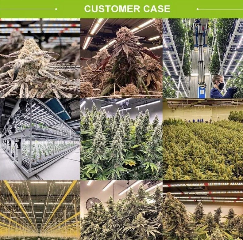 Commercial 4000W Spider LED Grow Light 4X4FT Full Spectrum for Plants Veg Flower - Image 2 of 4