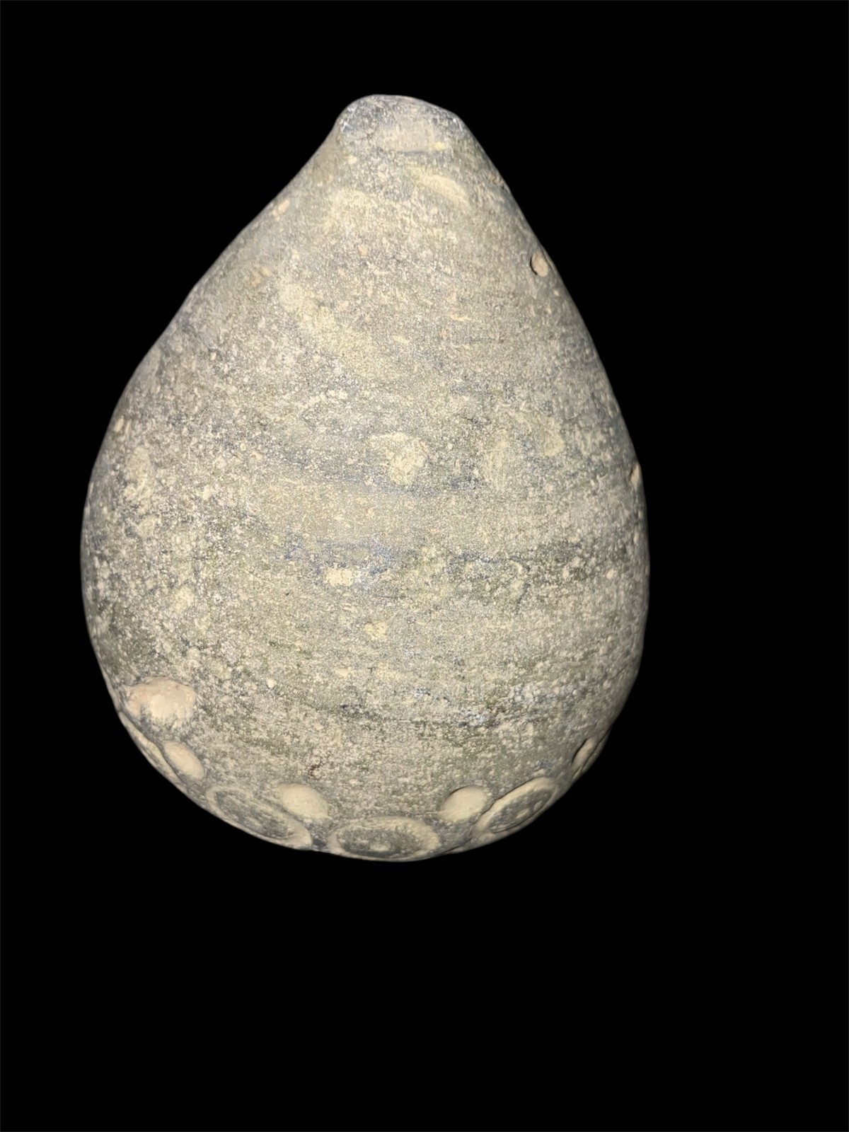 Foto 5 di 16
