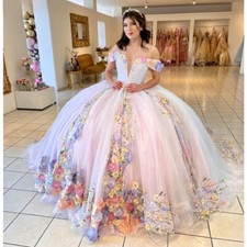 Floral Pink Quinceanera Dresses Ball Gown Sweet Sixteen Dress Prom Party Gowns