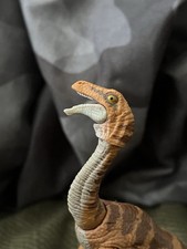 Hammond collection gallimimus