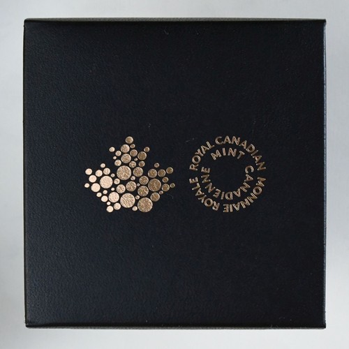 2017 Canada $20 Brilliant Birch leaves with Drusy Stone 99.99% Fine Silver Coin - Picture 4 of 15