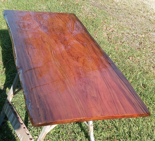 Magnifique! 24"X49" Finished REAL Sinker Cypress Wood Slab Coffee Table Top Only - Picture 18 of 21