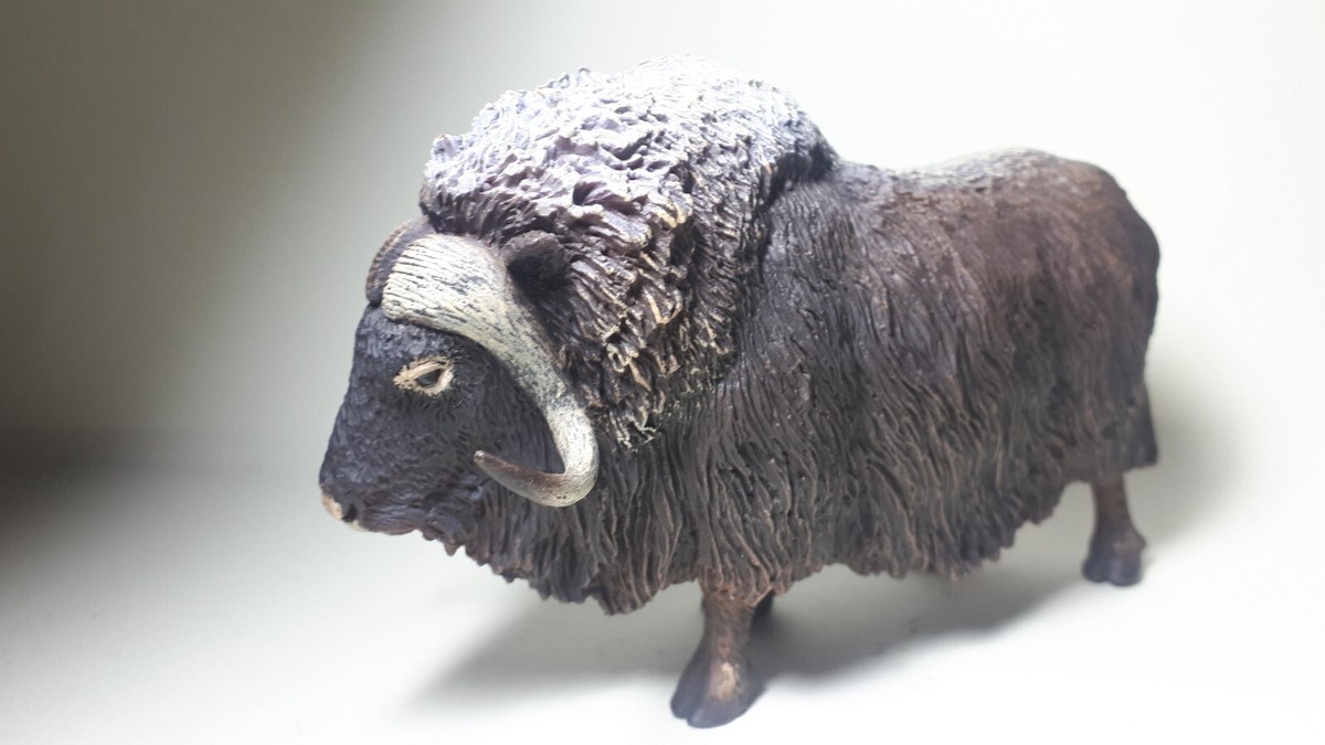 2016 NEW Collecta Animal Toy Figure Musk Ox