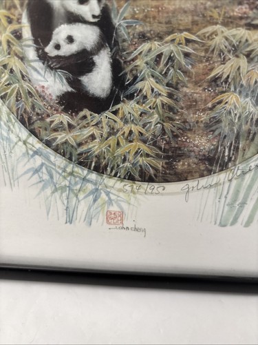 John Cheng Panda Bär Familie gerahmter 10”x12” Druck - Bild 2 von 4