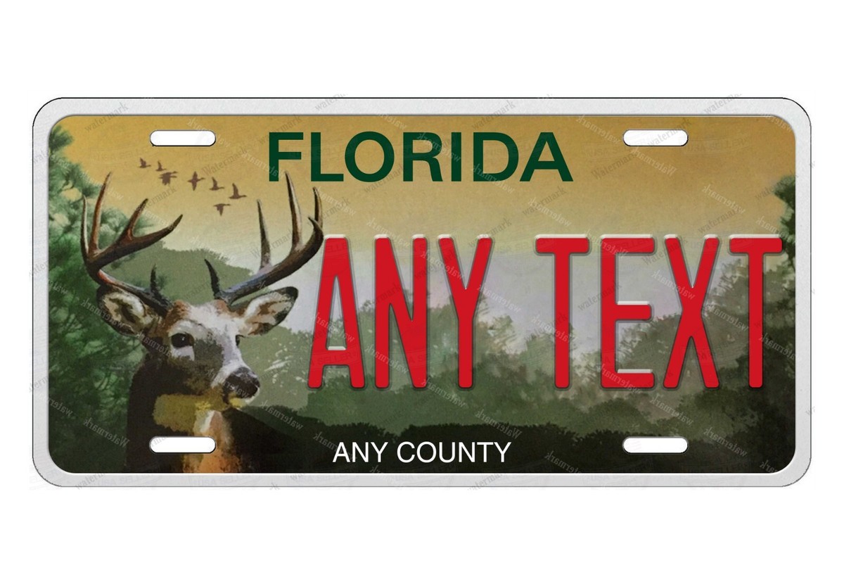 Targa Personalizzata Della Florida / Targa Decorativa Per ATV - Foto 4