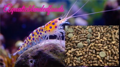 ABF AQUATIC FRESHWATER SHRIMP FOOD MIX/With CALCIUM- MINI SPIRULINA WAFERS ABF1S