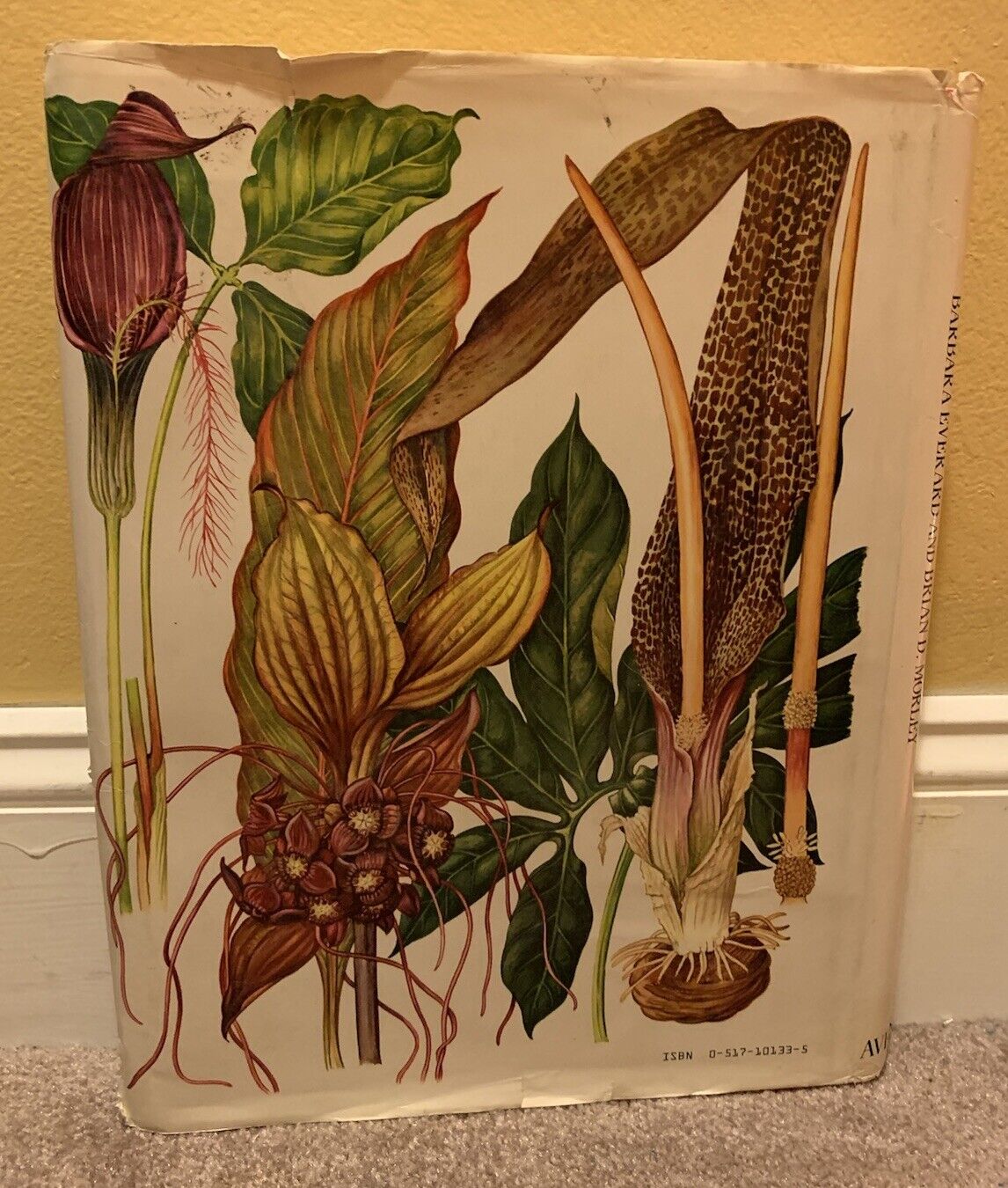 Picture 3 of 17