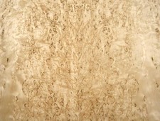 Birke Maser Furnier Holz Maserbirke 90x43cm 2 Blätter