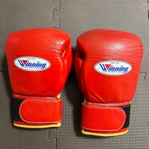 sakura_japan_shop | eBay Stores