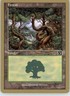 Forest (347) - 2000 Nicolas Labarre World Championship Decks - MP Magic
