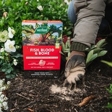 Westland Fish, Blood & Bone 4Kg - Root Development, Soil Conditioning 3.72 per kilo