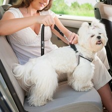 Pet Dog SEAT BELT Adjustable Travel Car Safety Harnesses Lead Restraint Strap