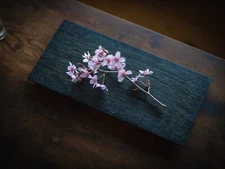 MORIKOUGEI TSUKI-JIRI WOOD PLATE M oak Flat Indigo Dyed sushi tableware dish