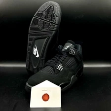 Air Jordan 4 “Black Cat” FV5029-010