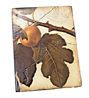 VTG 2002 RETIRED Sid Dickens Memory Tile T-105 ''Golden Fig'' Golden Orbit of Love